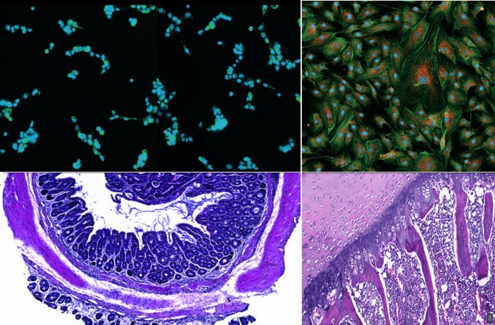 1681008247429092814.jpg 2.jpg